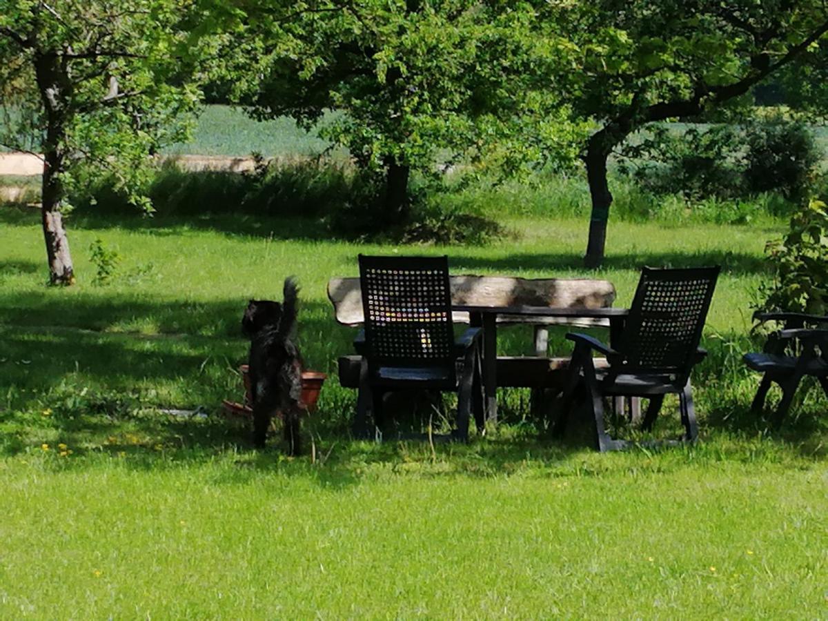 Apartmán Forsthof Schlemmin Eickhof Exteriér fotografie